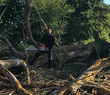 Abattage d'arbres Vernont