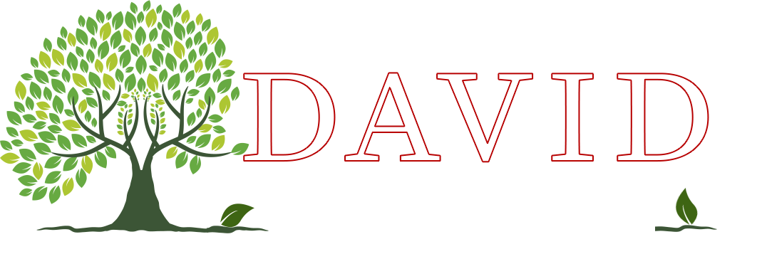 logo david paysage